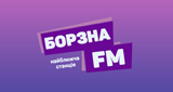 РАДІО БОРЗНА