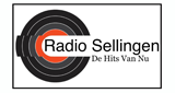 RTV Sellingen