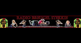 Radio Breugel Stekkie