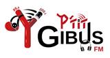 P'tit Gibus FM