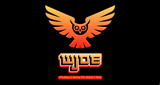 WJOE - Findlay's Home for Rock & Roll
