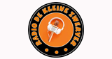 Radio de kleine zwerver