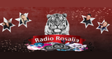 Radioro Salia
